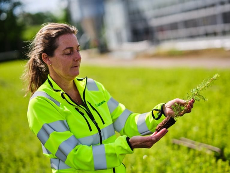 Fotografering plantskolan i Falkenberg