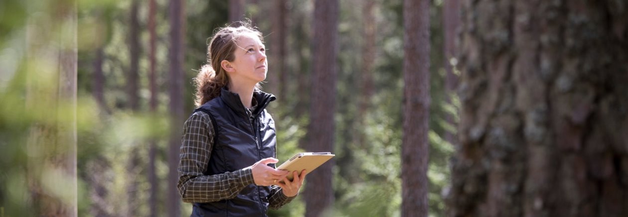 Södra appen Skogsägare visas av Lina Samuelsson