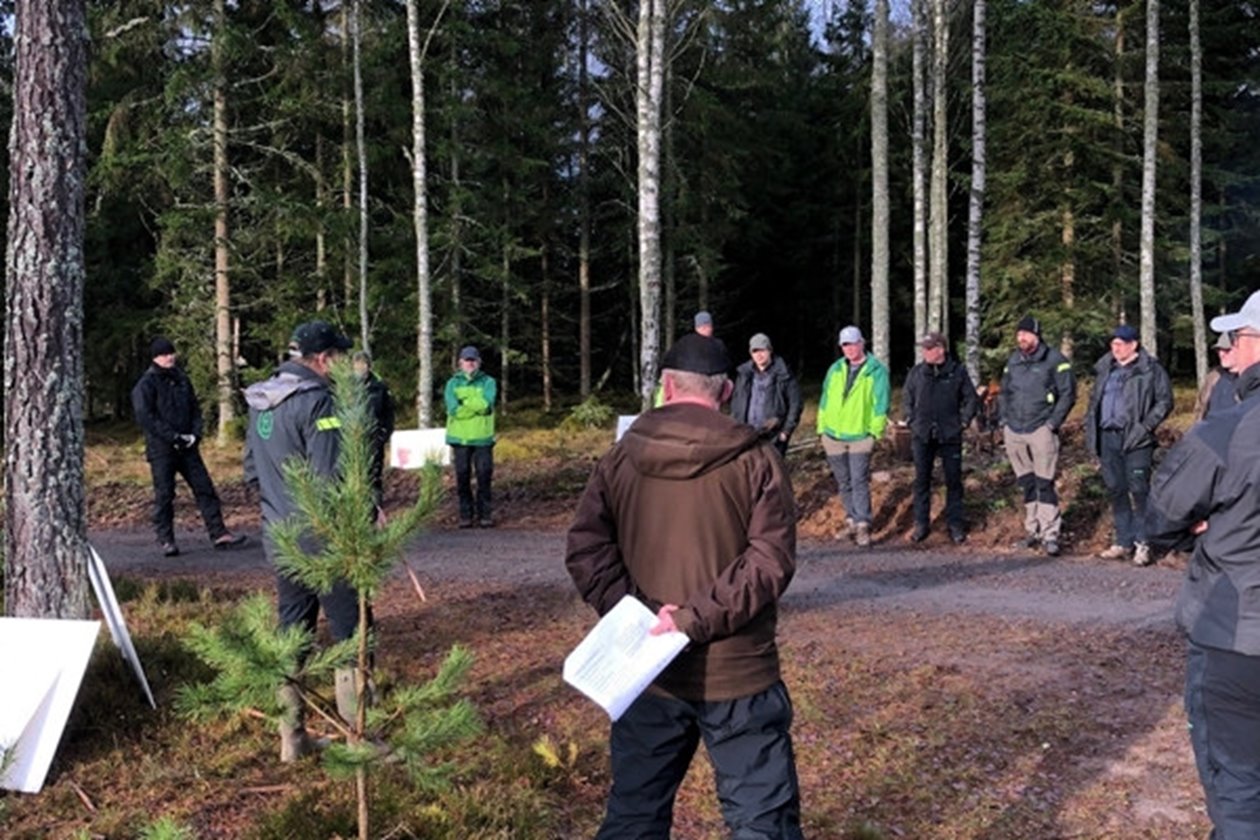 Möte ute i skogen